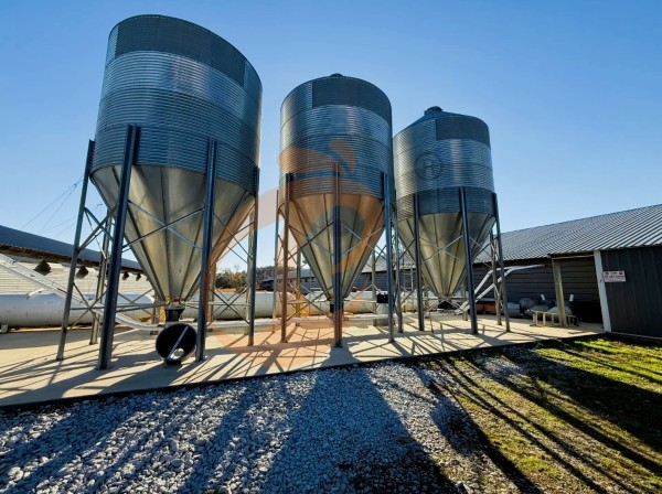 broiler poultry farm 4 broiler poultry farm 4