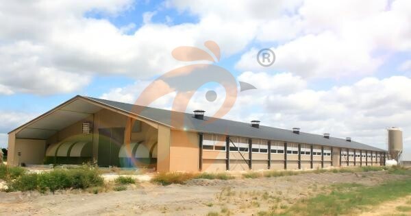 poultry house ventilation  5