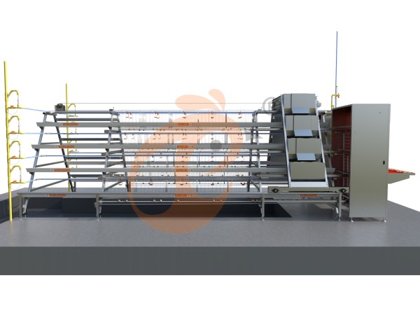 A type automatic layer battery cage (2) A type automatic layer battery cage (2)