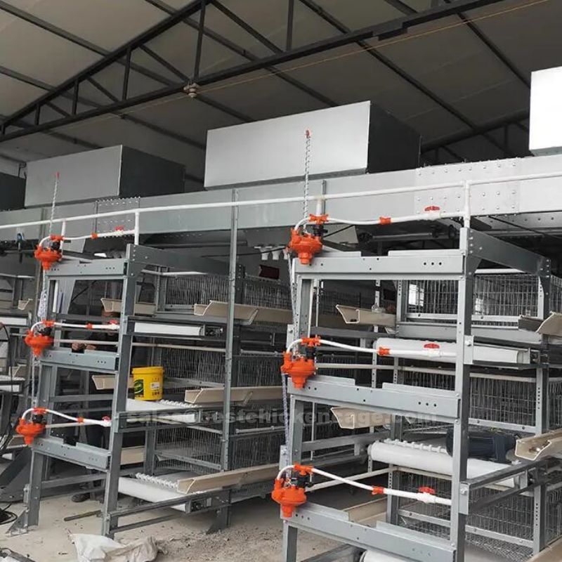 QQ截图20230427173431.jpg How is the manure scraper machine working