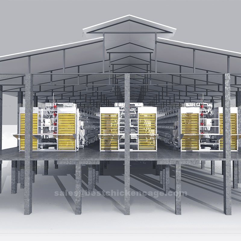 鸡笼或蛋鸡笼H (82).jpg Existence of battery cage in poultry farming