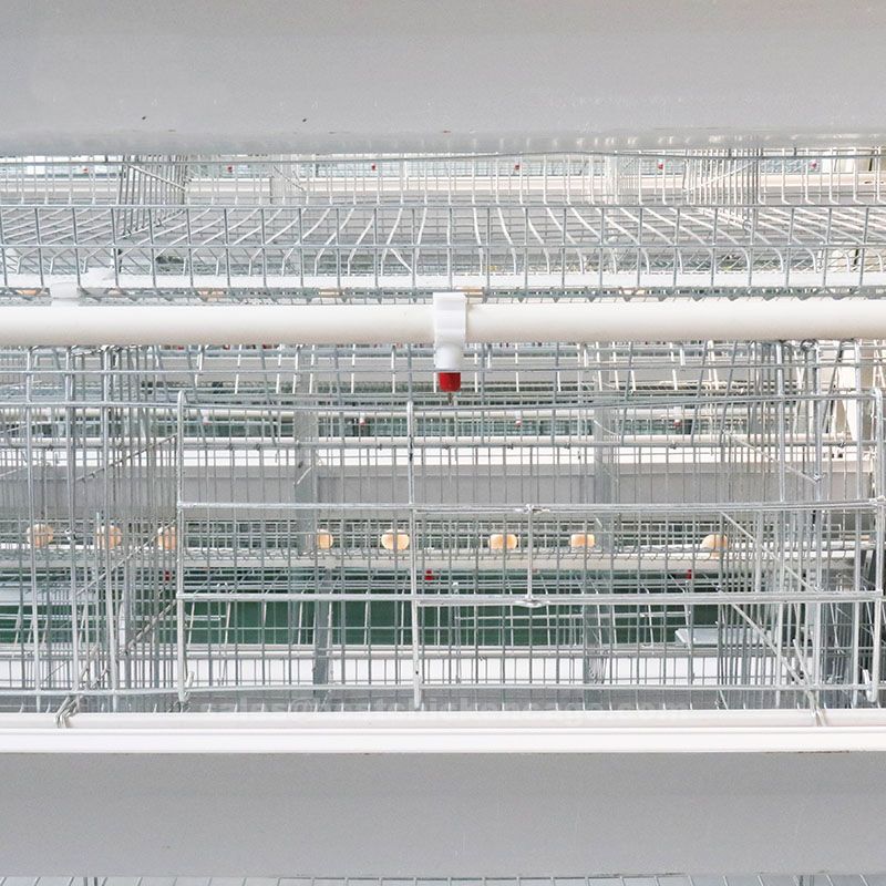 How to make breeder battery cage