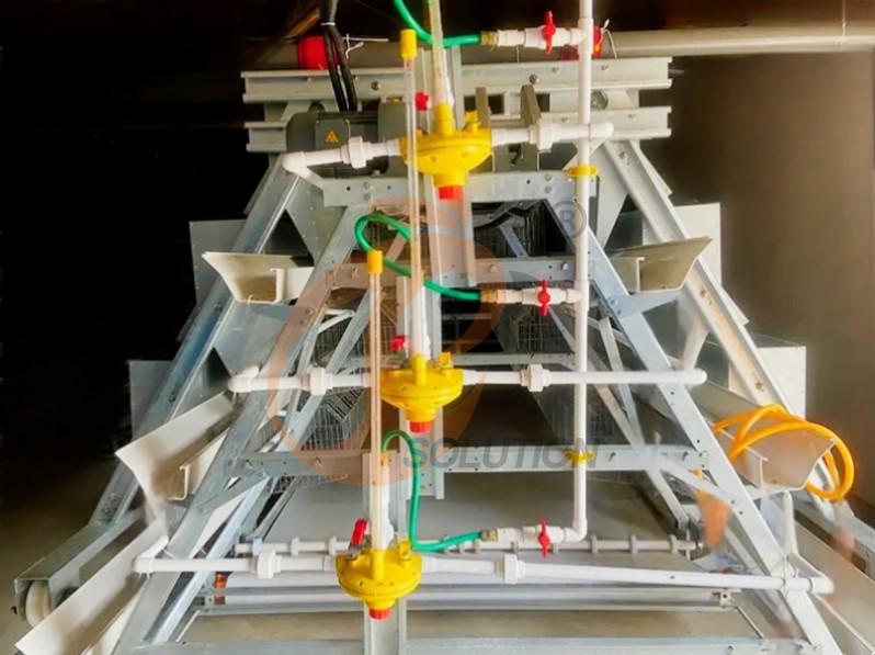 battery cage system for broiler (2)