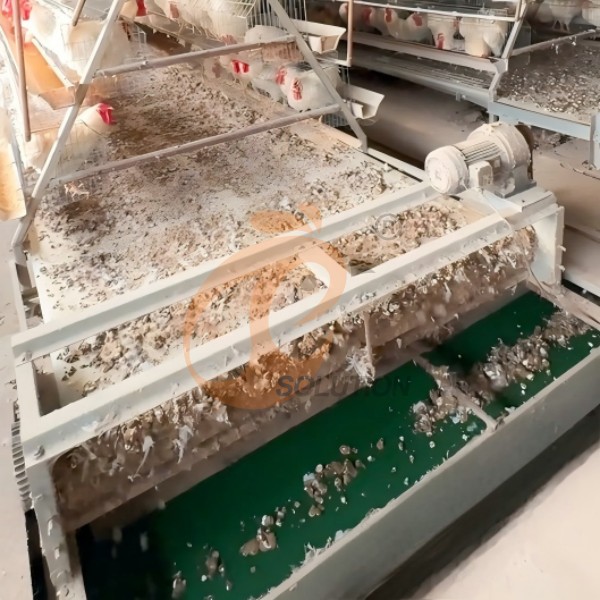 manure cleaning belt system (1) manure cleaning belt system (1)