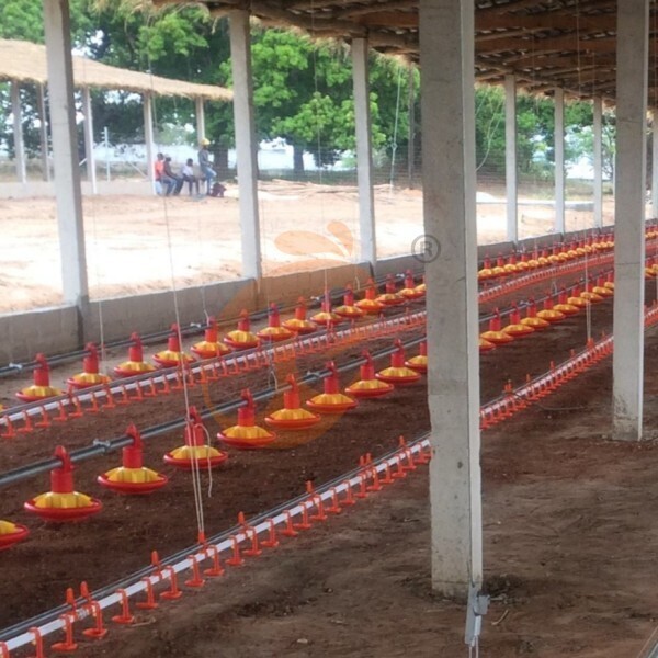 deep litter system 1 (5) deep litter system 1 (5)