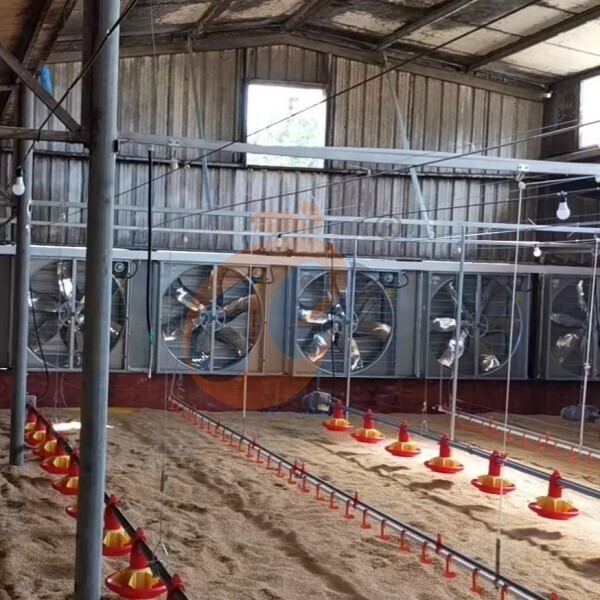 deep litter system 1 (6)