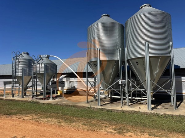 battery cage with poultry feed silo (1)