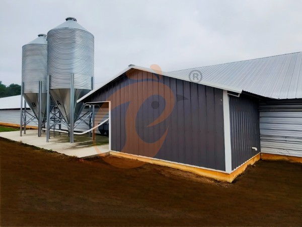 poultry deep litter with feed silo (1)