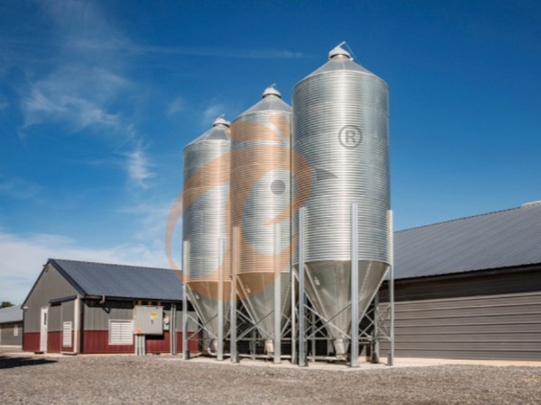 poultry feed silo (1)