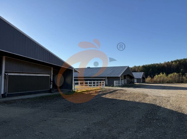 broiler poultry farm 2 broiler poultry farm 2