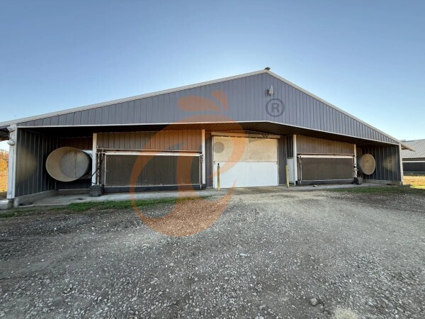 broiler poultry farm 5 broiler poultry farm 5