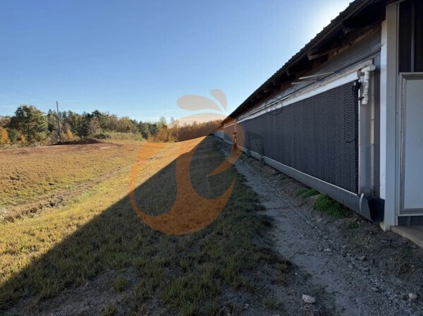 broiler poultry farm 6 broiler poultry farm 6