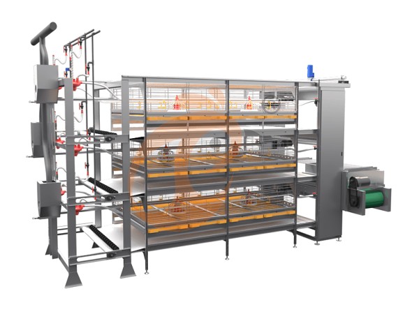 broiler chicken cage (1).png