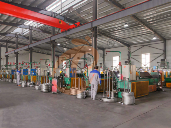 Filial Chinesa Oferece Plano de Negócios para Avicultura, Fabrica Equipamentos para Avicultura