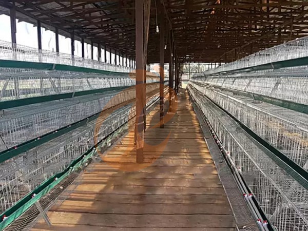 A H layer chicken battery cage price in poultry farm (98)