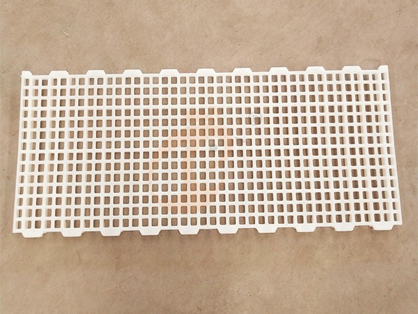 Floor Rearing Poultry System1 (9)
