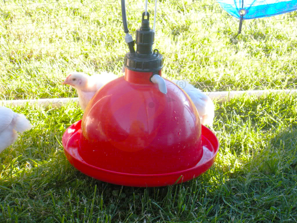 Plasson Poultry Equipment4 (3)