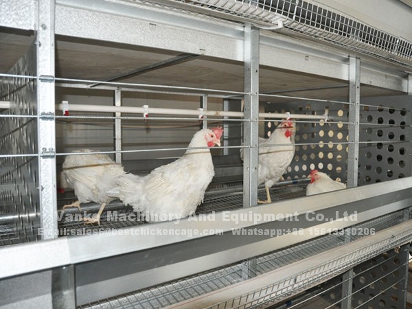 Where to get an automatic poultry battery cage in Nigeria