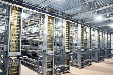 Our company finished breeder project of raising 10