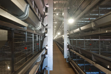 Our company finished layer project of automatic ch