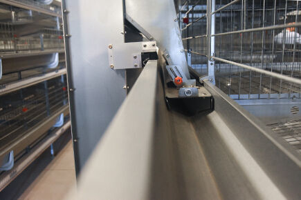 Our company finished layer project of automatic ch