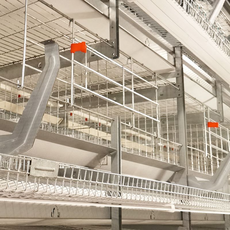 Needs for cage in poultry farming
