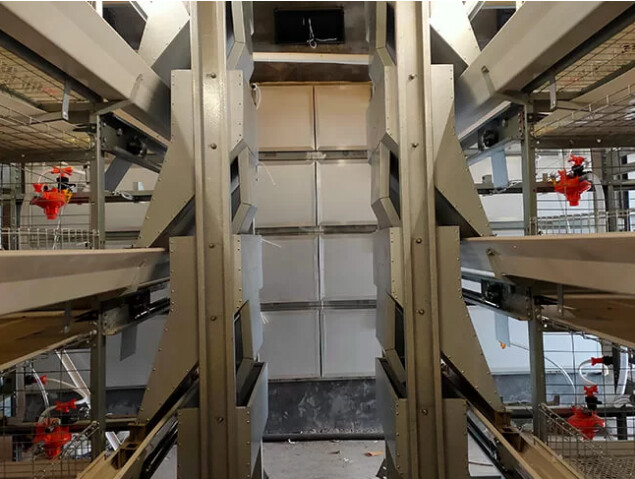 Le nouveau type de cage à poulets automatique de type H peut réduire considérablement la gestion manuelle de la main-d'œuvre et abaisser les coûts opérationnels