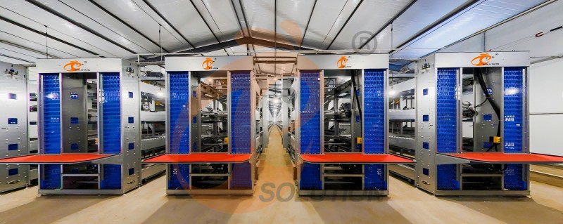 battery cage egg collection (1) battery cage egg collection (1)