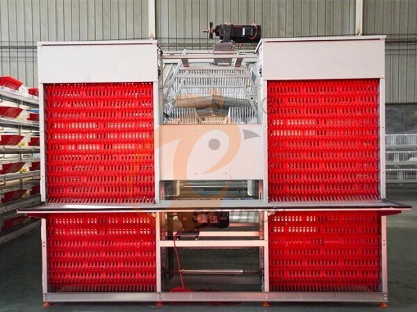 battery cage egg collection (8) battery cage egg collection (8)