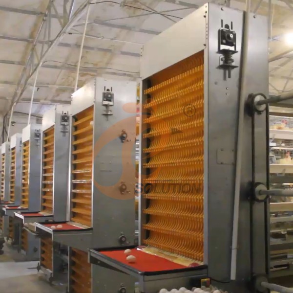 poultry cage egg collection (8) poultry cage egg collection (8)