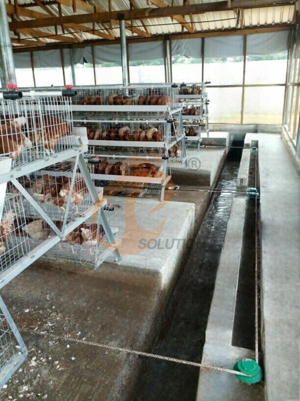 poultry farm manure cleaning (2) poultry farm manure cleaning (2)