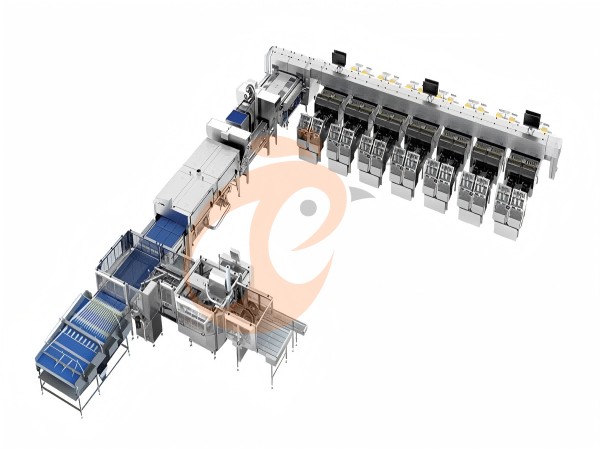 Egg sorting line