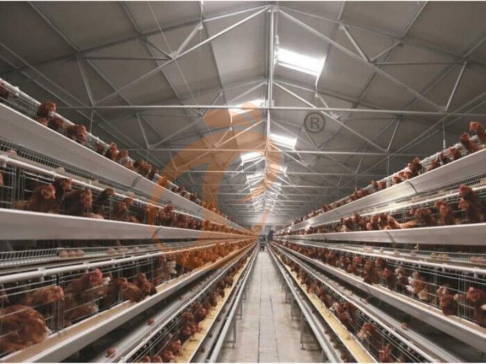 battery cage (1)