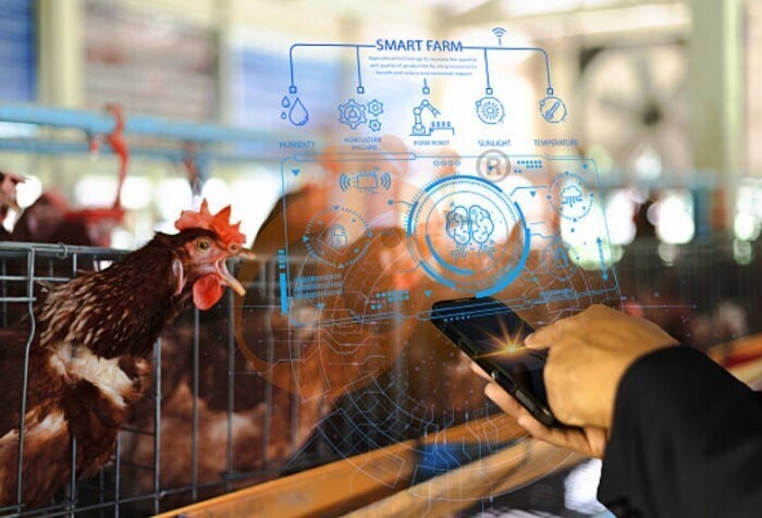 IOT poultry system (1) IOT poultry system (1)