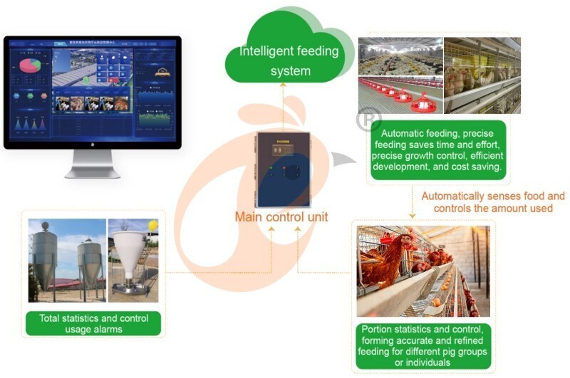 IOT poultry system-feed IOT poultry system-feed