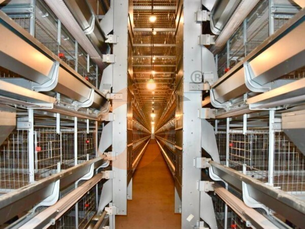 battery cage with poultry feed silo (2) battery cage with poultry feed silo (2)