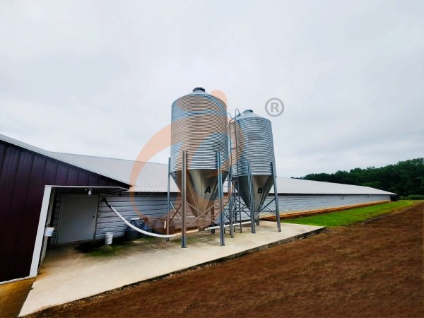 poultry feed silo in closed house poultry feed silo in closed house
