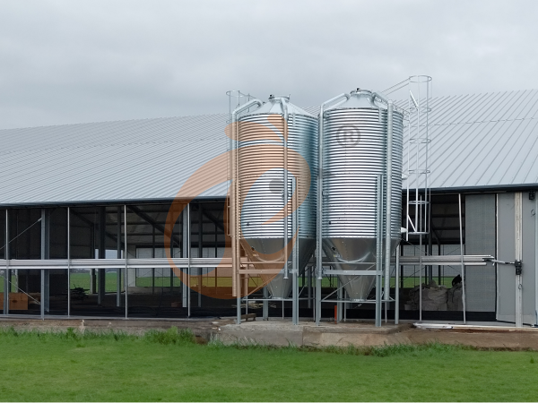 poultry feed silo in opening house