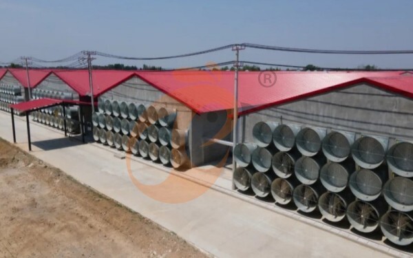 poultry house ventilation 3 (1) poultry house ventilation 3 (1)