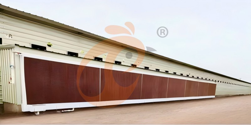poultry house ventilation (2) poultry house ventilation (2)