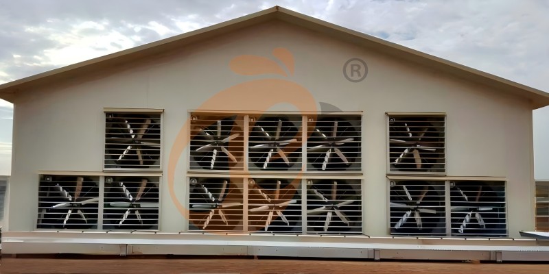 poultry house ventilation (3) poultry house ventilation (3)