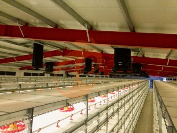 Système de ventilation et de contrôle de la température pour volailles