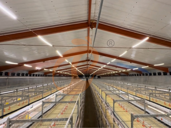 Comment les systèmes modernes de cages à volailles réduisent le risque de maladie