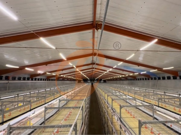 poultry house ventilation 3 (1-1) poultry house ventilation 3 (1-1)