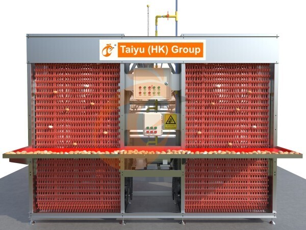 10,000 - 30,000 poules pondeuses Cage en batterie automatique de type A
