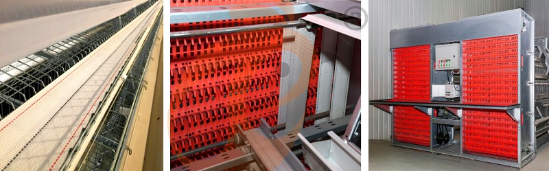 1747722742783339718611390464 layer chicken cage (4).png
