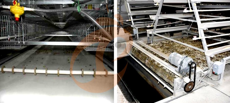 1747722747783339738618220544 layer chicken cage (6).png