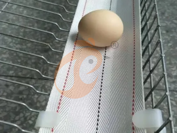 Comment les cages à poules de type H éthiopiennes durables peuvent-elles réduire les dépenses à long terme des fermes ?