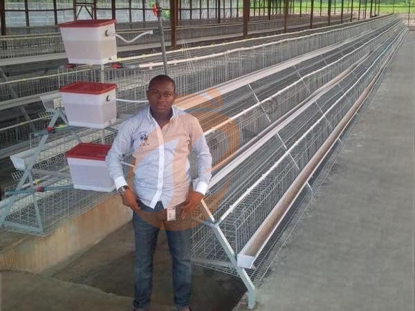 A H layer chicken battery cage price in poultry farm (101)