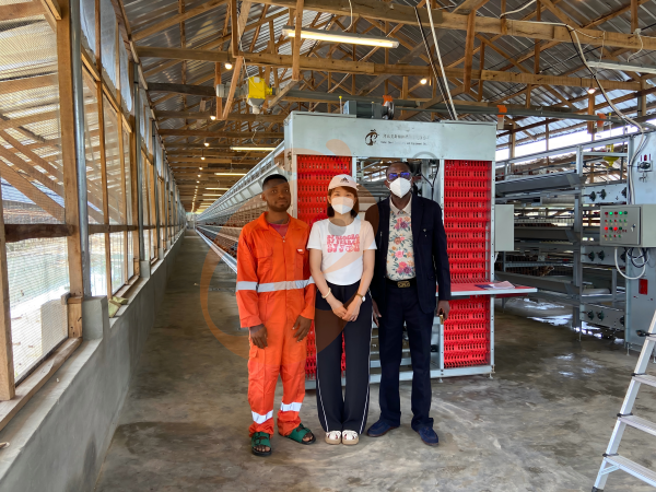A H layer chicken battery cage price in poultry farm (39)